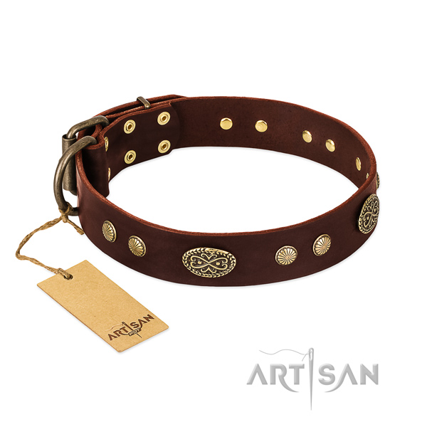 Corrosion resistant embellishments on full grain natural leather dog collar for your four-legged friend