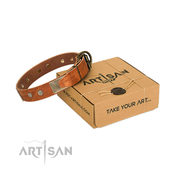 Corrosion proof studs on dog collar for daily use