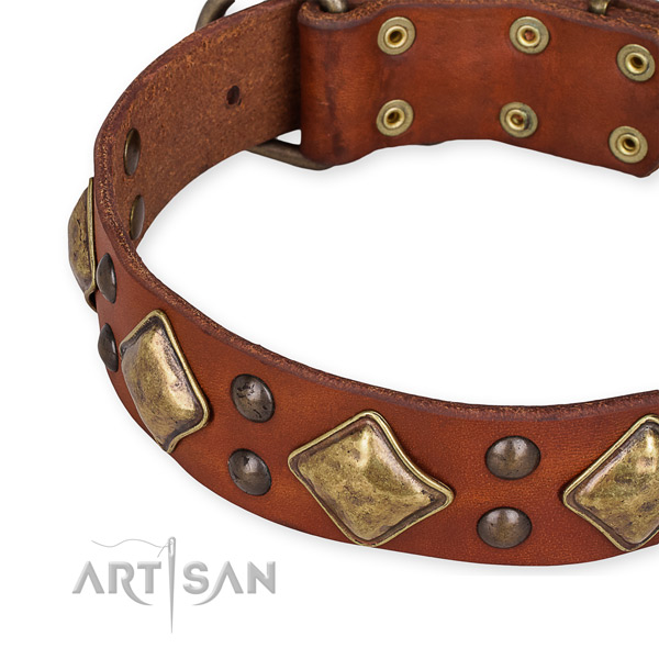 Full grain genuine leather collar with strong fittings for your attractive canine