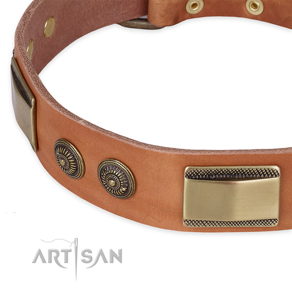 Corrosion resistant embellishments on leather dog collar for your pet