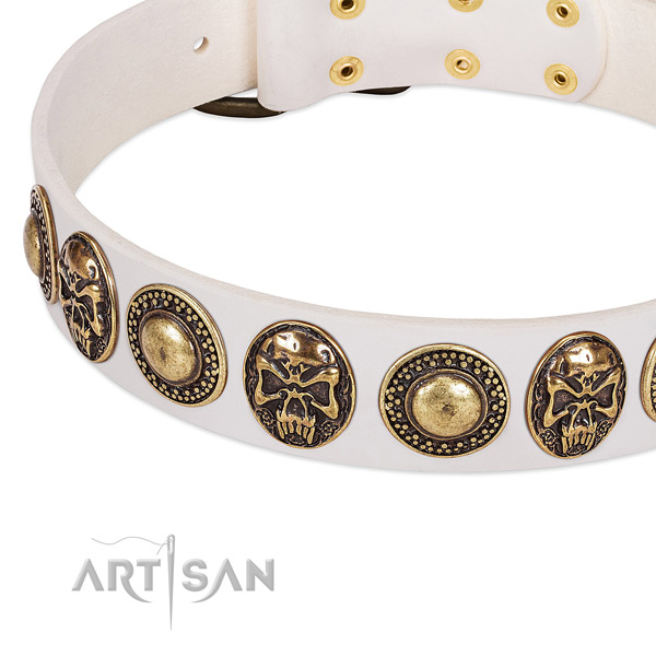 Corrosion proof decorations on full grain natural leather dog collar for your pet