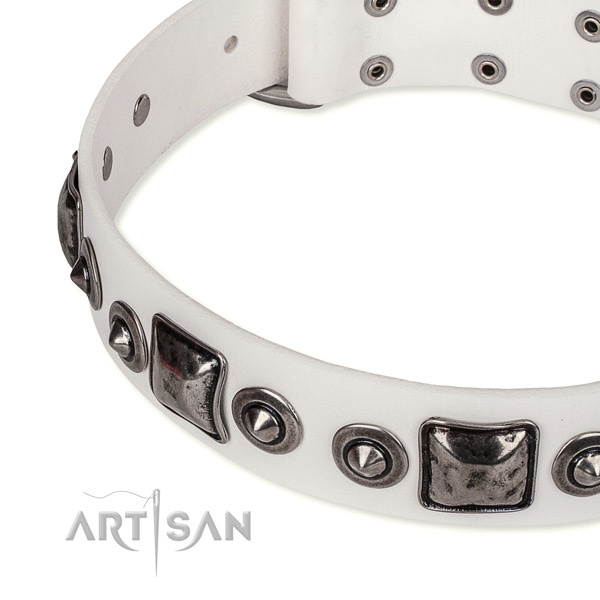 High quality leather dog collar created for your impressive doggie