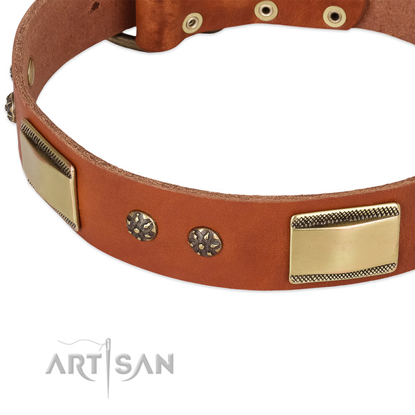 Corrosion proof traditional buckle on full grain genuine leather dog collar for your doggie