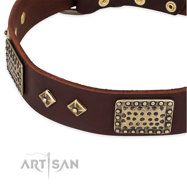 Durable buckle on full grain natural leather dog collar for your doggie