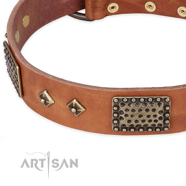 Corrosion proof traditional buckle on natural leather dog collar for your canine