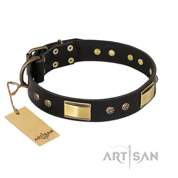 Perfect fit leather collar for your dog