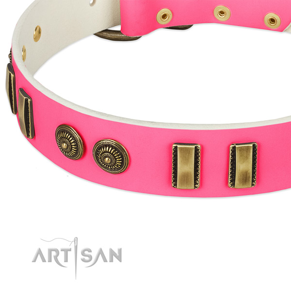 Strong fittings on leather dog collar for your dog