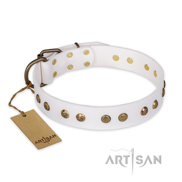 Embellished genuine leather dog collar with corrosion proof fittings