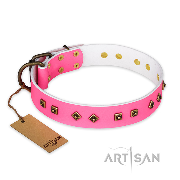 Unique leather dog collar with strong D-ring