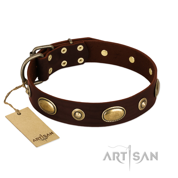 Impressive leather collar for your canine
