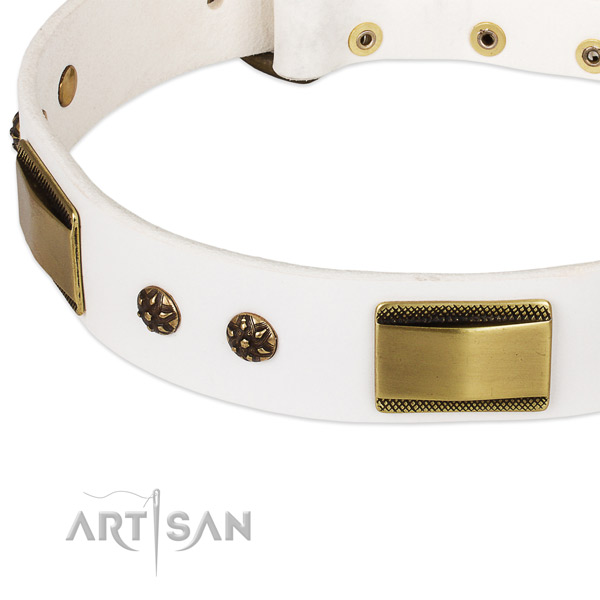 Rust resistant embellishments on full grain natural leather dog collar for your pet