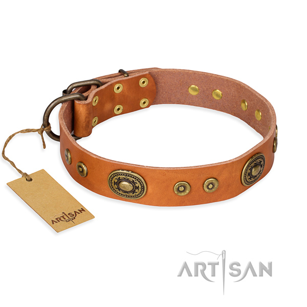 Full grain natural leather dog collar made of high quality material with reliable traditional buckle