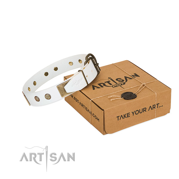 Corrosion resistant D-ring on dog collar for daily use