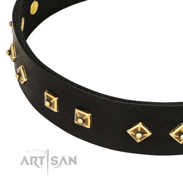 Designer leather collar for your stylish four-legged friend