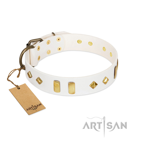 Handy use flexible full grain genuine leather dog collar with embellishments