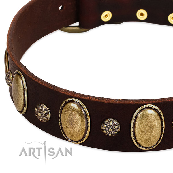 Everyday use best quality natural genuine leather dog collar