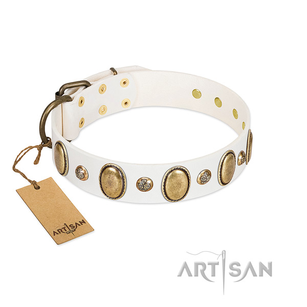 Full grain natural leather dog collar of top rate material with top notch studs