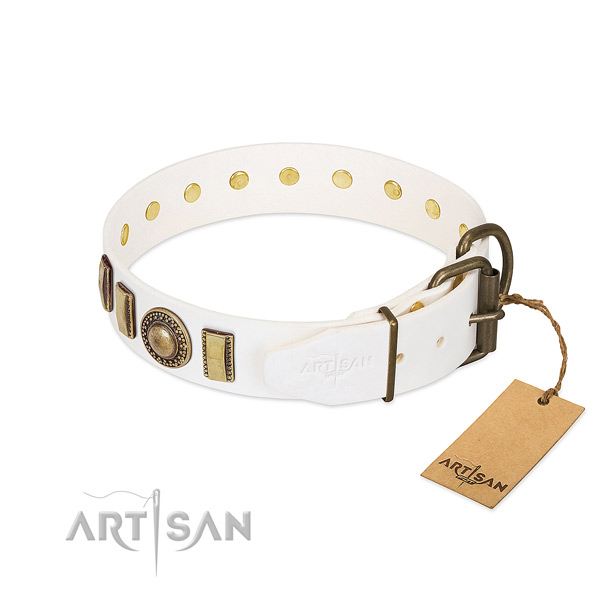 Amazing full grain leather dog collar with durable traditional buckle