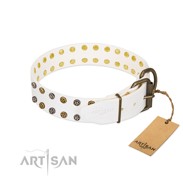Full grain leather collar with remarkable embellishments for your dog