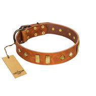"Woofy Dawn" FDT Artisan Tan Leather Cane Corso Collar with Plates and Rhombs