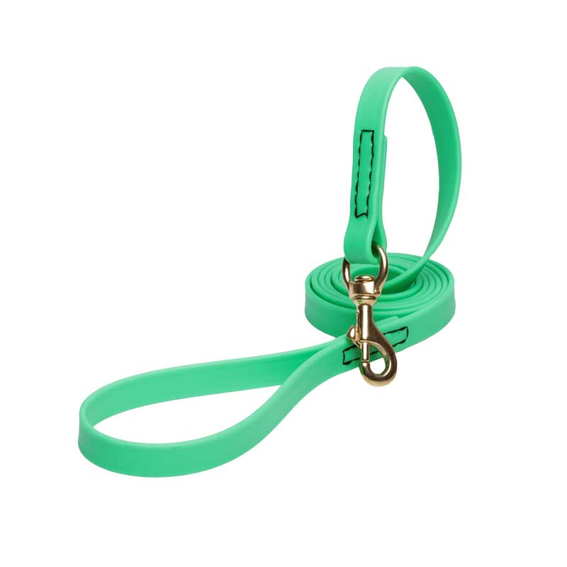 Green Waterproof Cane Corso Leash Made of Biothane - Click Image to Close