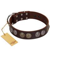 "Treasure Hunter" FDT Artisan Brown Leather Cane Corso Collar with Old-Bronze-like and Silvery Medallions
