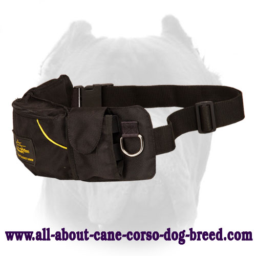 Dog Pouch made of Nylon with Pockets for Treats and Kibble