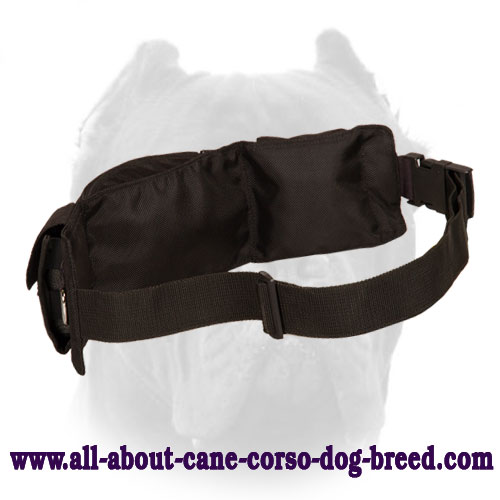 Nylon Pouch for Dog Training with Adjustable Strap
