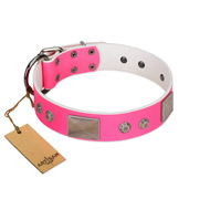 "Pink Blush" Premium Quality FDT Artisan Pink Designer Cane Corso Collar with Plates and Studs "Pink Blush" Premium Quality FDT Artisan Pink Designer Cane Corso Collar with Plates and Studs