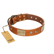 "Ancient Treasures" FDT Artisan Tan Leather Cane Corso Collar with Antiqued Plates and Studs