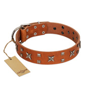 "Faraway Galaxy" FDT Artisan Tan Leather Cane Corso Collar Adorned with Stars and Squares
