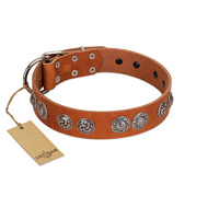 "Woofy Majesty" FDT Artisan Tan Leather Cane Corso Collar with Round Silver-like Plates