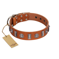 "Luxurious Necklace" FDT Artisan Tan Leather Cane Corso Collar with Silver-Like Adornments