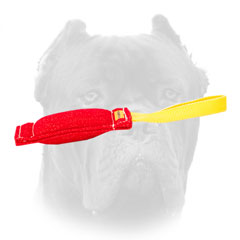Cane Corso training tug with one handle