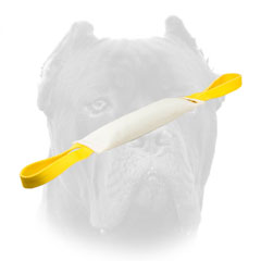 Cane Corso professional training toy with two handles