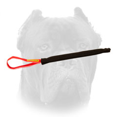 Quality Cane Corso puppy training tug with comfy handle