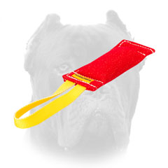 Quality Cane Corso training tug with comfy handle