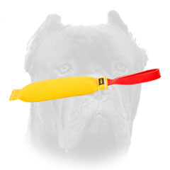 Quality Cane Corso training tug with handle