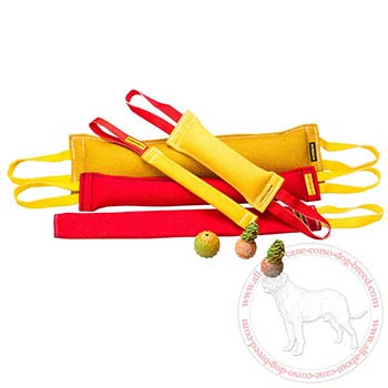 Strong French Linen Tugs for Cane Corso Bite Training