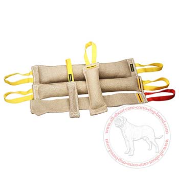 Set of Jute Bite Items for Cane Corso Training