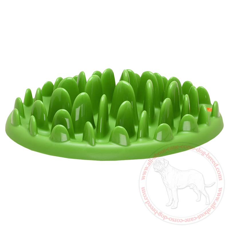 Interactive Slow Bite Dog Feeder for Cane Corso Pet Supplies Dog
