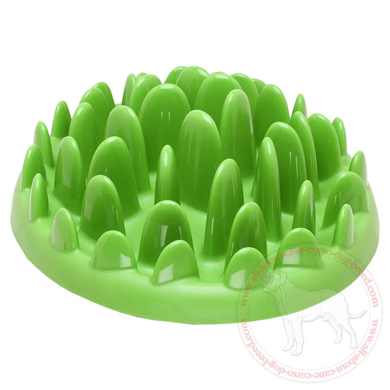 Interactive Slow Bite Dog Feeder for Cane Corso Pet Supplies Dog