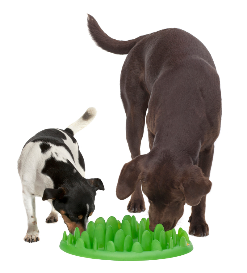 Interactive Slow Bite Dog Feeder for Cane Corso Pet Supplies Dog