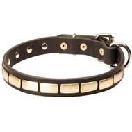 Exclusive Fashion Dog Collar with Brass Plates for Cane Corso