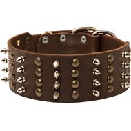 Cane Corso Spiked and Studded Leather Extra Wide Collar