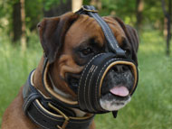 boxer-muzzles