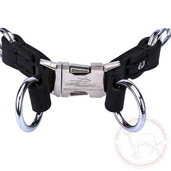 2 O-rings of Cane Corso pinch collar for leash attachment