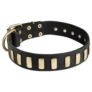 Leather dog collar for large dog breeds