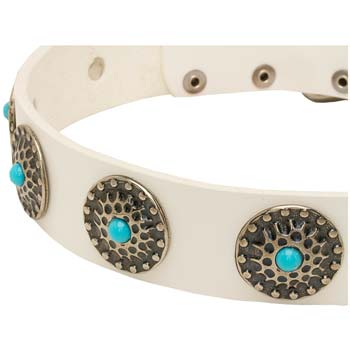 Studded Cane Corso Collar 