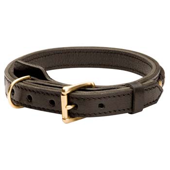 Fashionable leather dog collar